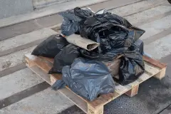 Clean day 2025